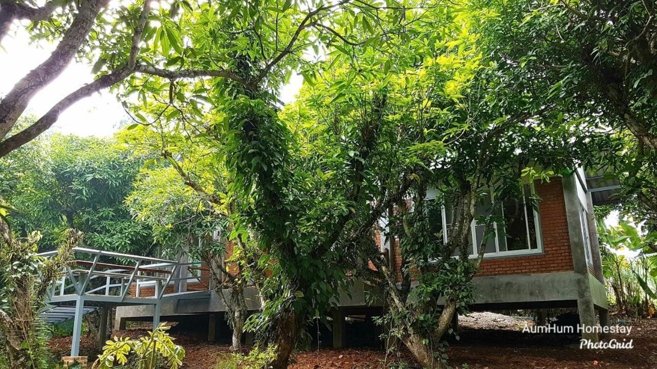Aum Hum Homestay Fang Exterior foto