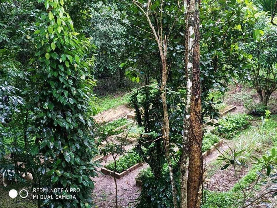 Aum Hum Homestay Fang Exterior foto