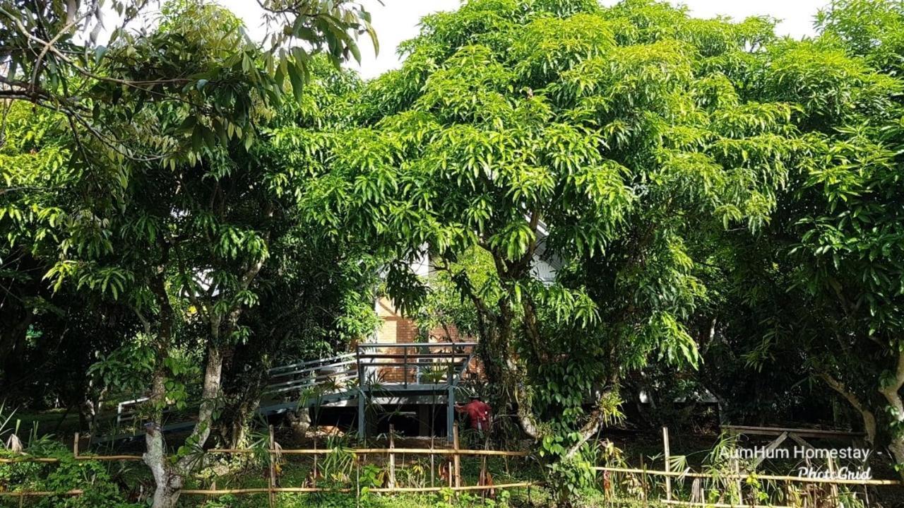 Aum Hum Homestay Fang Exterior foto