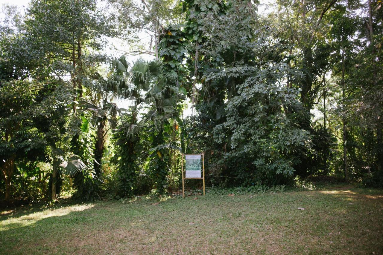 Aum Hum Homestay Fang Exterior foto