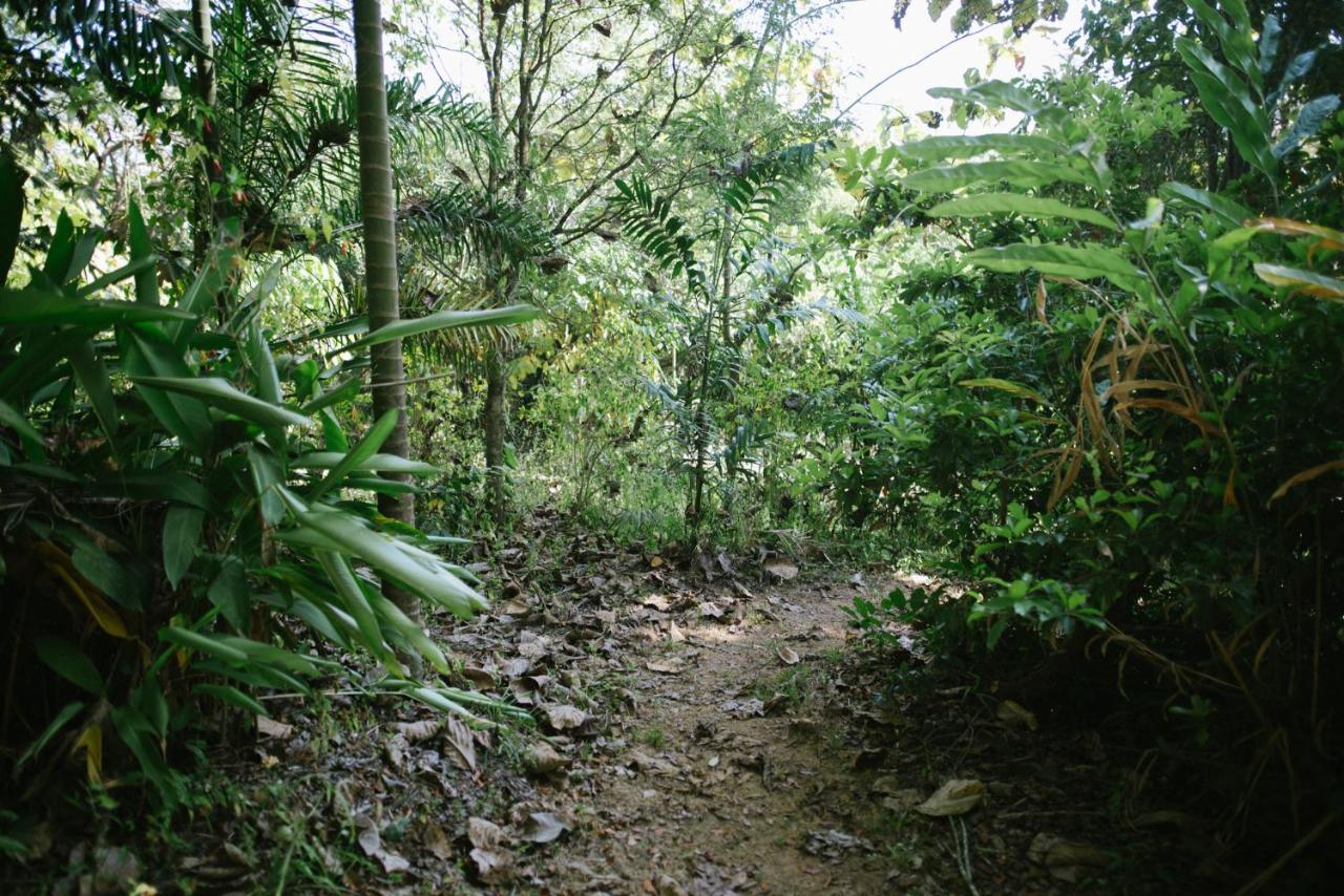 Aum Hum Homestay Fang Exterior foto
