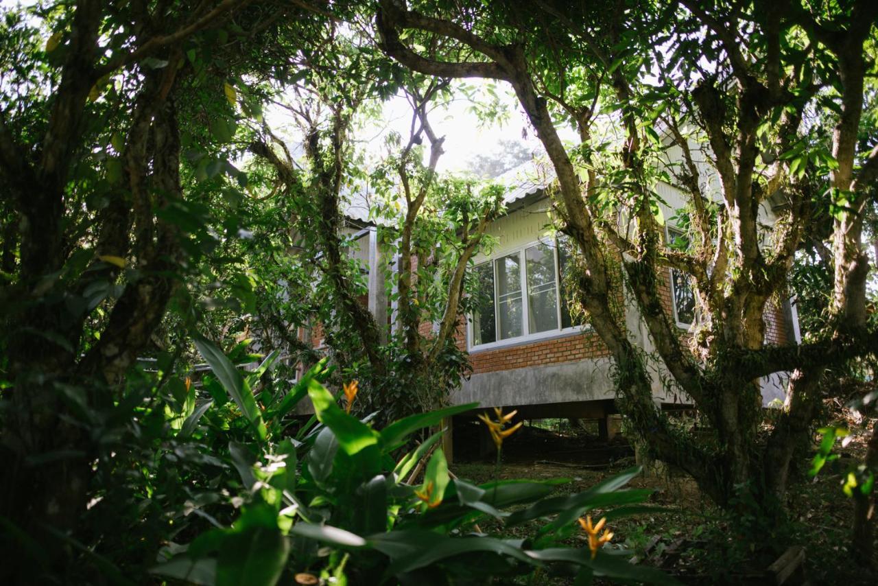 Aum Hum Homestay Fang Exterior foto