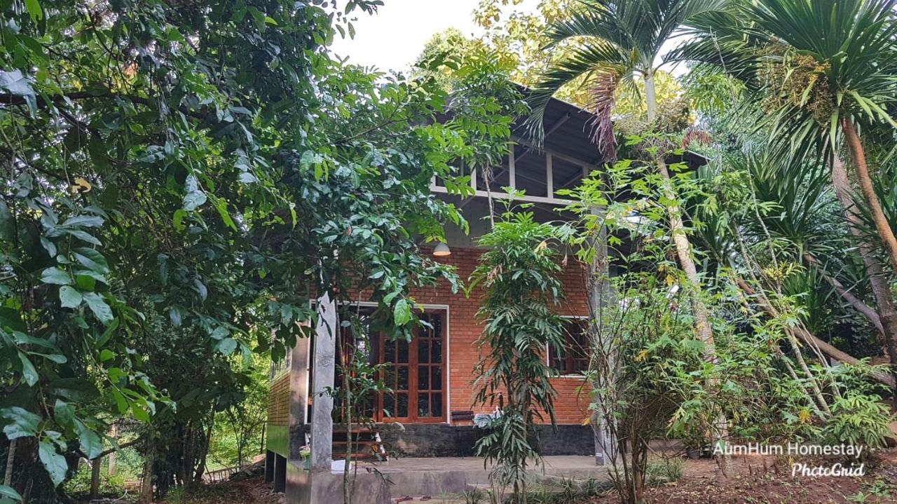 Aum Hum Homestay Fang Exterior foto